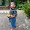 ahmad.safii876
