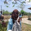 fiola_699