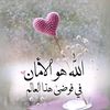 hany25721
