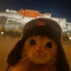 usep_211_1161gggg