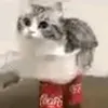 raaafaaaell0