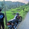 sall135cc0