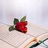 aliyajaan36