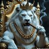 user74424625219815