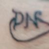 dnpl1973