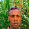 user34398612358374