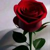 user34746668174