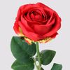 nazile.ali5