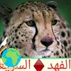 user2345966105568