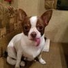 christopher.dunca74