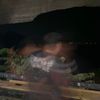 azccca