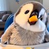 penguin8652