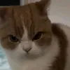 normal_editingforlikes
