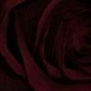 user9449087068020