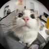 notificationbing