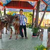 bo.thyy712
