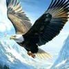 user6126624617384