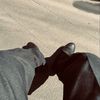 scootandgraf