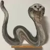 www.snakecat.com.vn