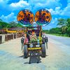 aung.kyaw.kyaw7438