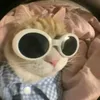 _sontinhthichconan_