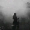 sh_._32