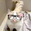 yy_tharaphi7