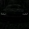 zymo0311