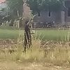 mr_sandi04