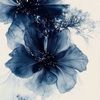 another_al2