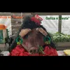 galiciaesfiesta
