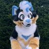 furry5089
