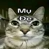 toi_cung_nhung_nguoi_bnn