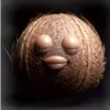 _._molperek_._