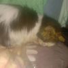 tiara_lahir.2002