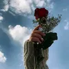 amlilyan5