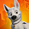 Bolt Quiz