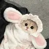 cute.x.lifez