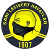 Sarı Lacivert Hayatlar