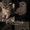 malak.moo95