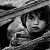 fuad_38_