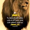 user28484332558710