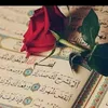 nilofar283