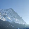 spiridalo