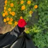 zahraa_sestane313