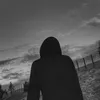 s2_am3