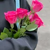 zz_rrhh_5