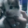 iren_with.u