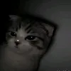 esthe.medrade
