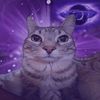 catstrike_